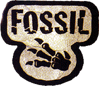 Fossil Pokemon card set logo